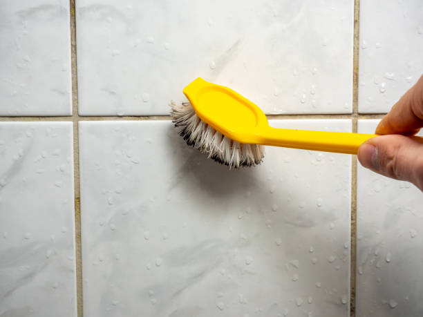 Best Mold Cleaning Services  in Cotulla, TX